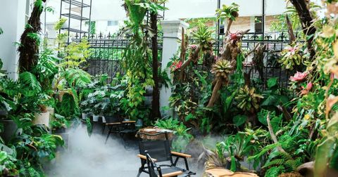 Giới Thiệu AnaGarden