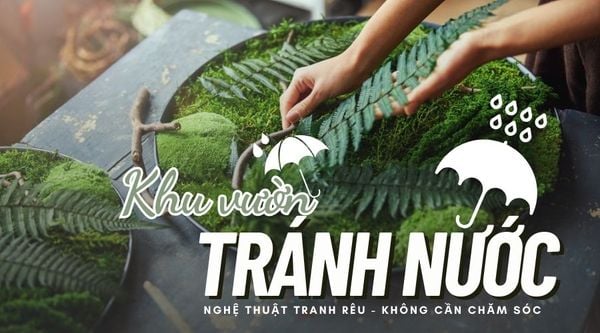 AnaGarden Thi Công Nghệ Thuật Rêu Vĩnh Cửu 1