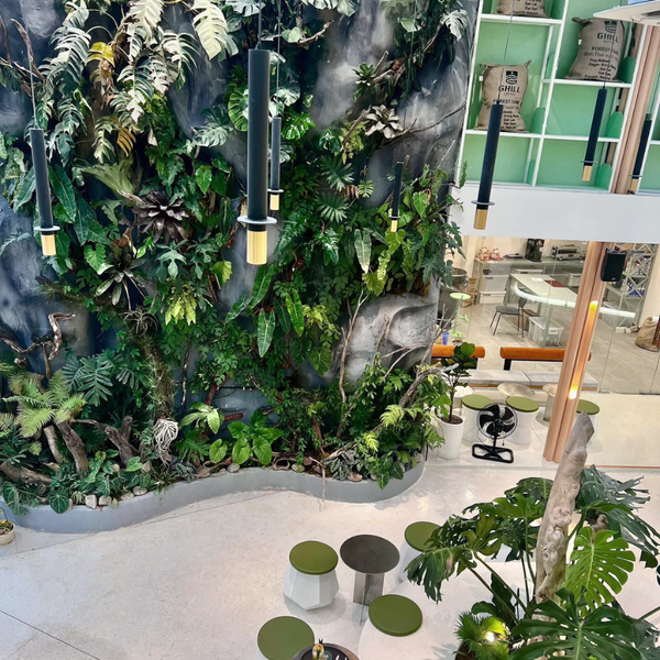 AnaGarden thi công vườn phong cách Nhiệt Đới xanh mướt mắt tại The Ghill Coffee 1
