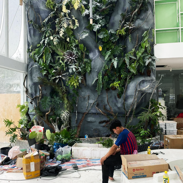 AnaGarden thi công vườn phong cách Nhiệt Đới xanh mướt mắt tại The Ghill Coffee 7