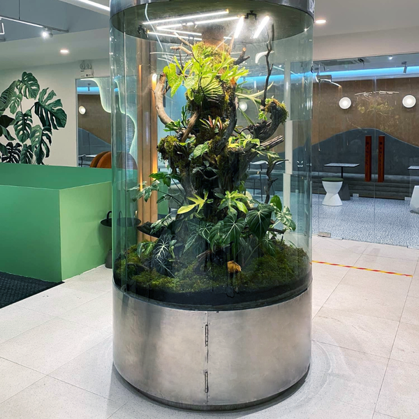 AnaGarden thi công vườn phong cách Nhiệt Đới xanh mướt mắt tại The Ghill Coffee 11