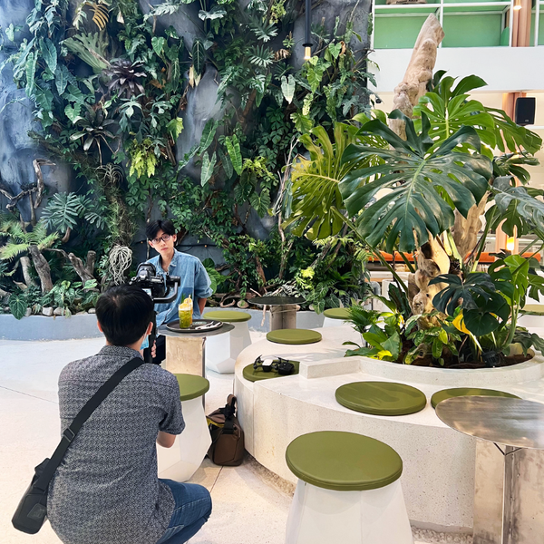 AnaGarden thi công vườn phong cách Nhiệt Đới xanh mướt mắt tại The Ghill Coffee 13