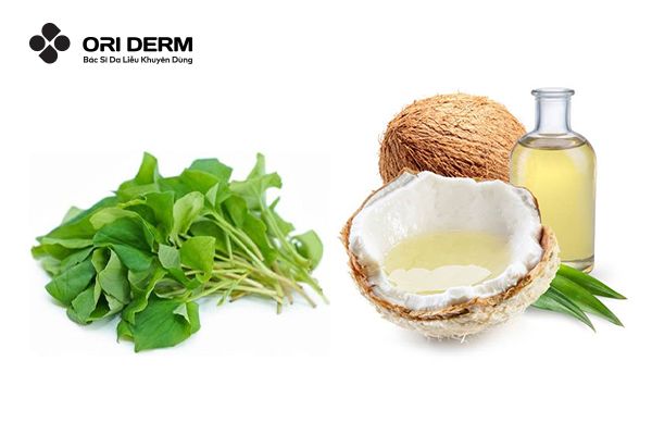 Cách làm mặt nạ rau diếp cá kết hợp với dầu dừa
