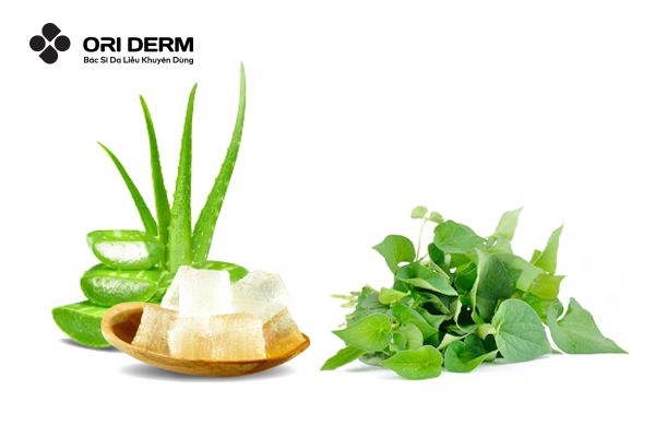 Cách bước làm mặt nạ diếp cá kết hợp nha đam