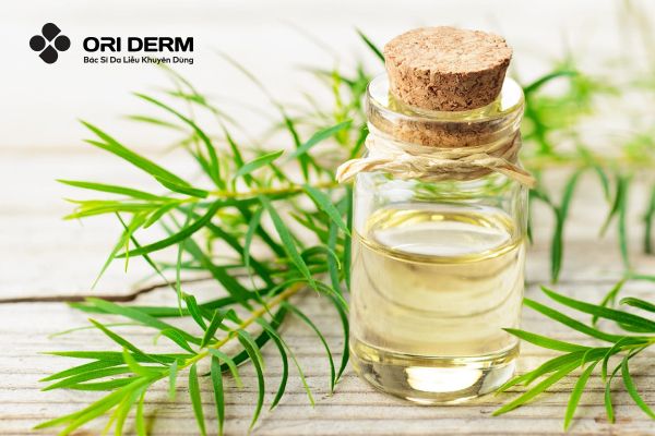 Mặt nạ dầu&nbsp;tràm trà trị mụn