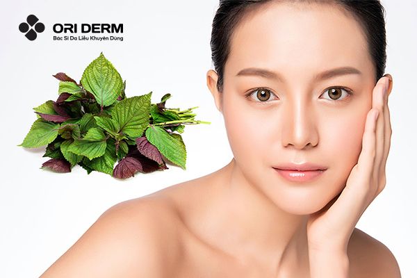 Hướng Dẫn 6 Cách Trị Mụn Bằng Lá Tía Tô