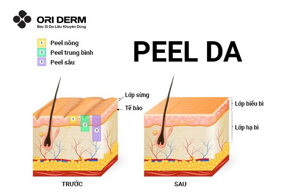 Cơ chế hoạt động của peel da
