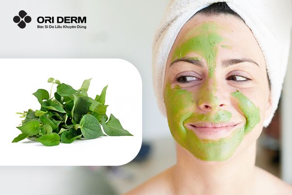 07 Cách Làm Mặt Nạ Rau Diếp Cá Tại Nhà Đem Lại Lợi Ích Bất Ngờ Cho Da
