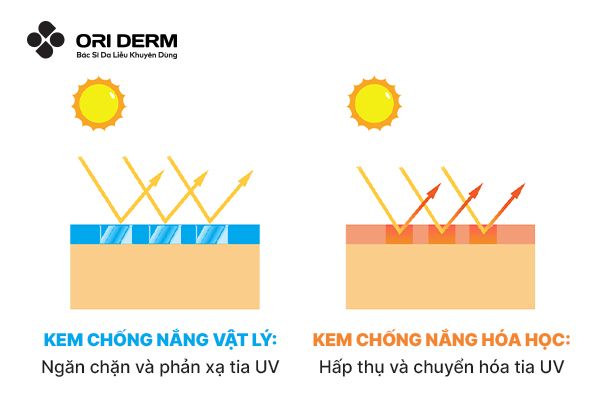 Phân loại kem chống nắng nâng tone