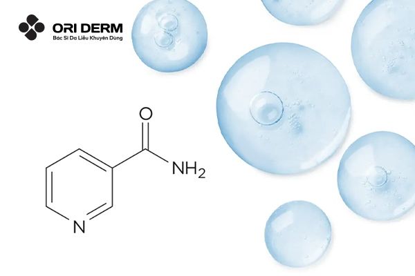 Thành phần Niacinamide là gì?