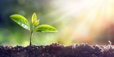 Những thuật ngữ chiết xuất thực vật thường gặp trong sản phẩm của BioTopcare