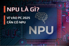 NPU là gì? Vì sao PC 2025 cần có NPU để chạy AI mượt mà hơn