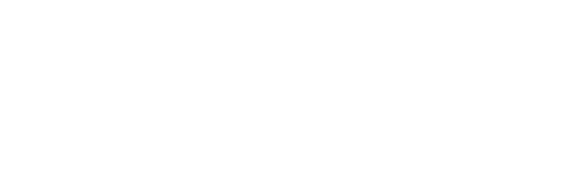 Sintech