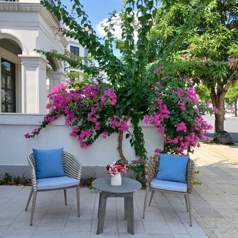 Chất Liệu Bàn Ghế Ngoài Trời Nào Tốt Nhất Hiện Nay?