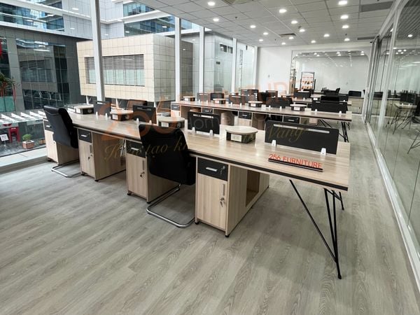 Thi Công Trọn Gói Nội Thất Văn Phòng - Dự Án American Study