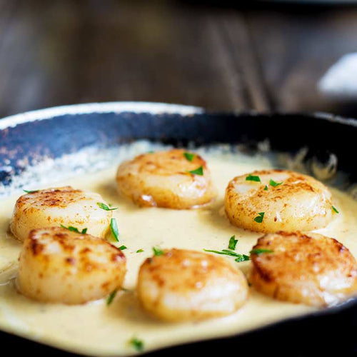 Sò điệp áp chảo sốt kem saffron – món ăn nhà hàng trong căn bếp gia đình