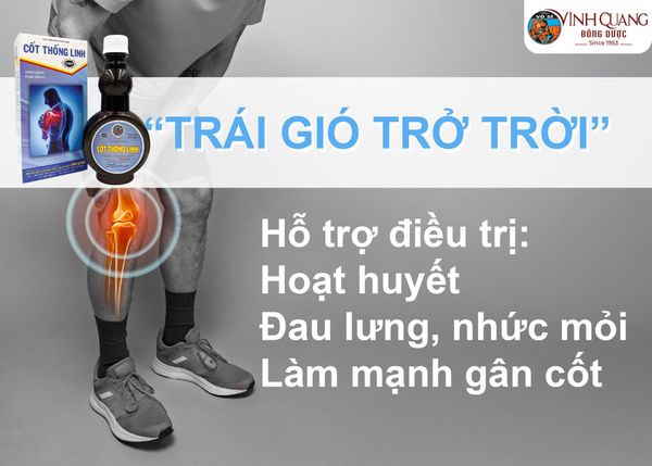 CỐT THỐNG LINH – GIẢI PHÁP HỖ TRỢ GIẢM ĐAU NHỨC XƯƠNG KHỚP HIỆU QUẢ