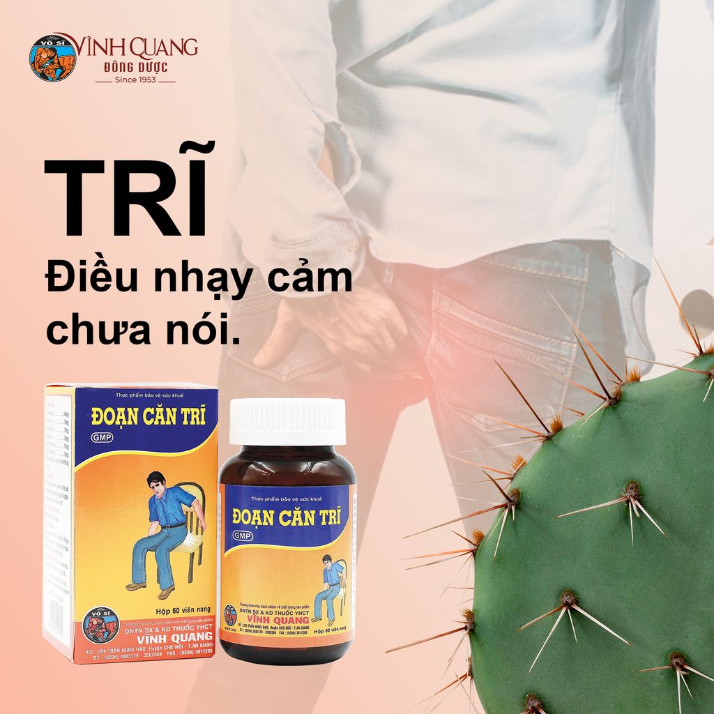 Đoạn Căn Trĩ – Giải pháp hỗ trợ cải thiện bệnh trĩ
