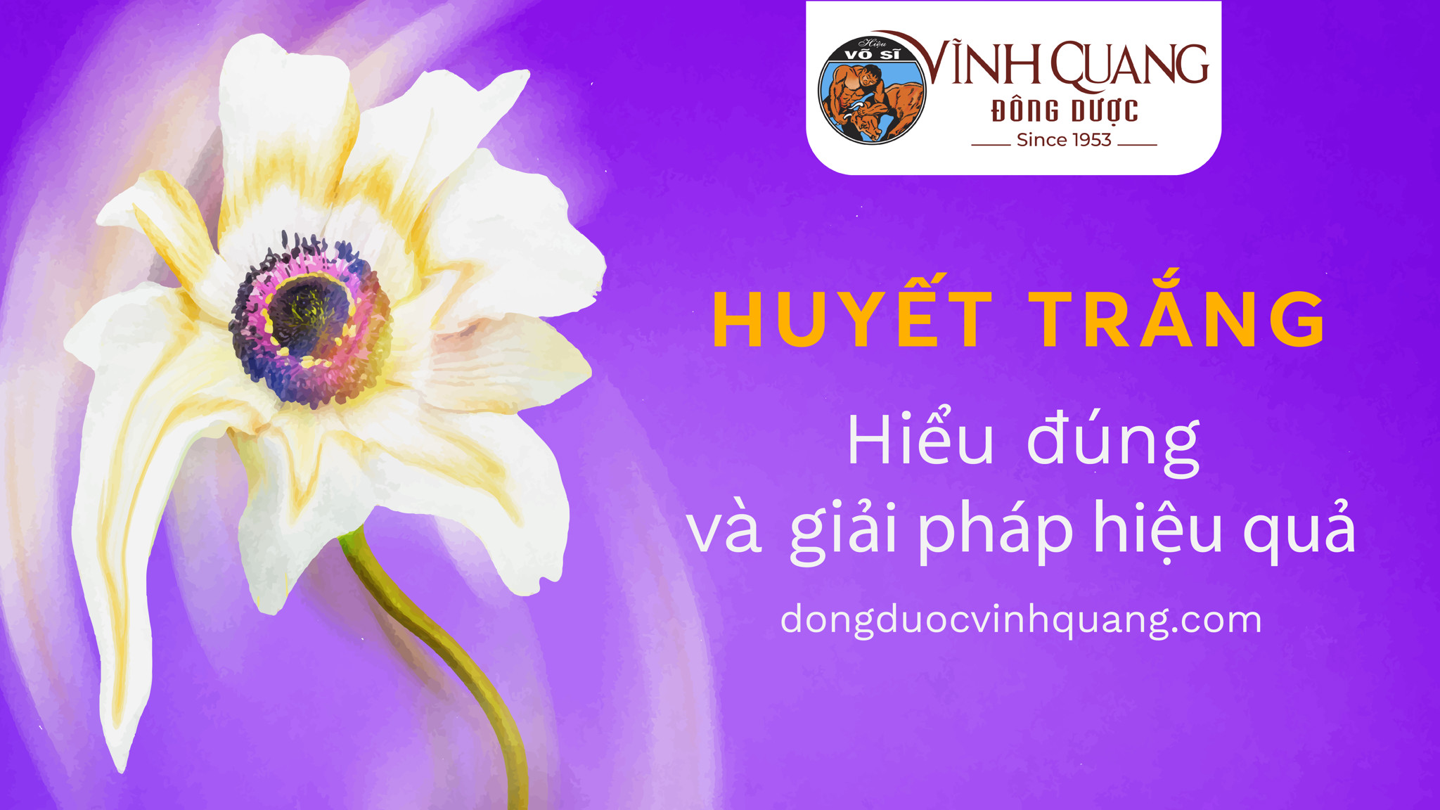 Huyết Trắng Là Gì, Hiểu Đúng và Giải Pháp Hiệu Quả