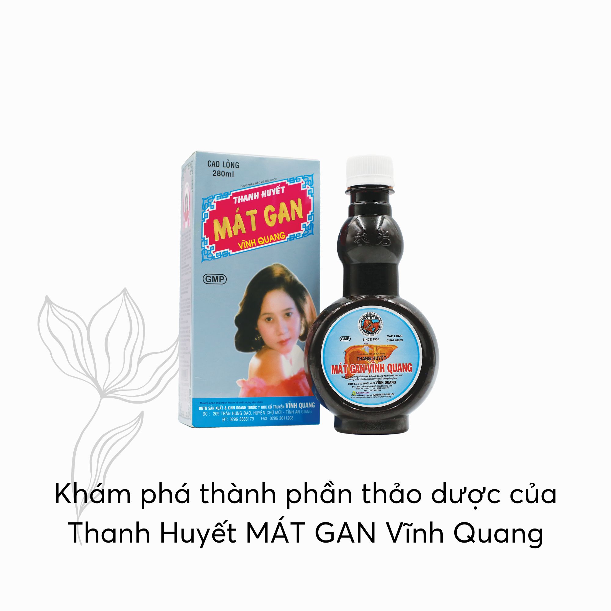 Thanh Huyết Mát Gan Vĩnh Quang – Dược liệu quý giúp mát gan, giải độc, giảm mụn
