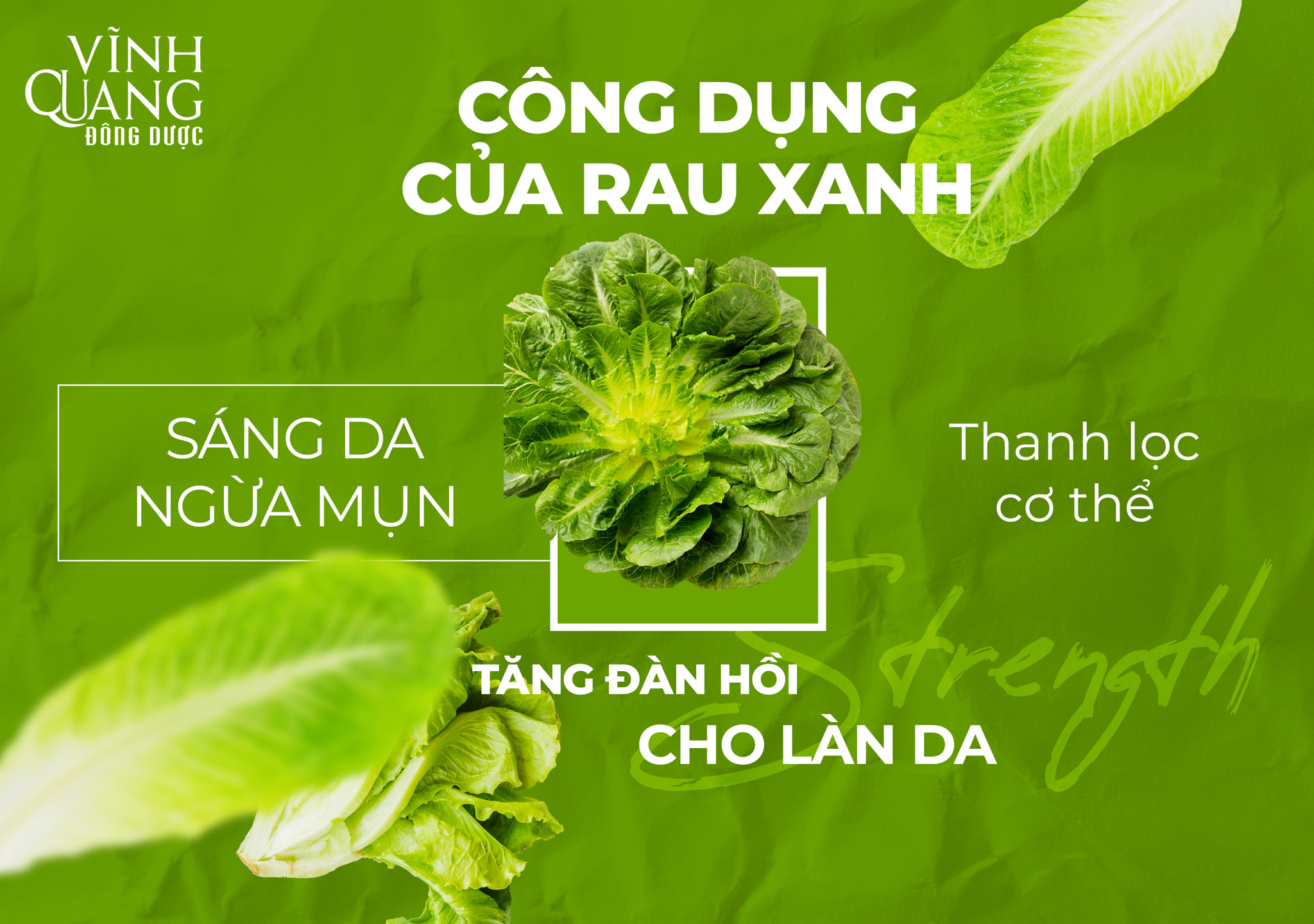 Công dụng của rau xanh đối với sức khỏe và sắc đẹp