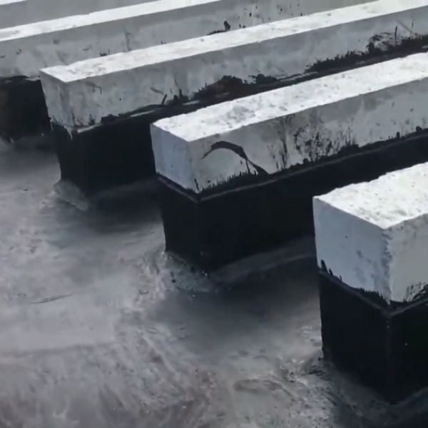 Hình ảnh bài viết