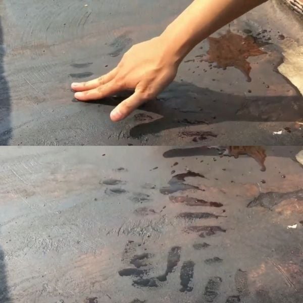 Hình ảnh bài viết
