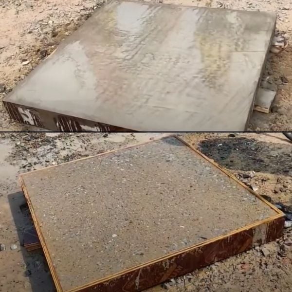 Hình ảnh bài viết