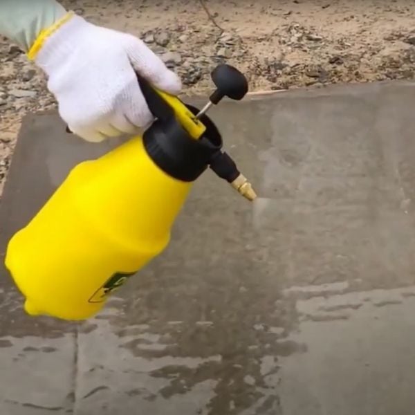 Hình ảnh bài viết