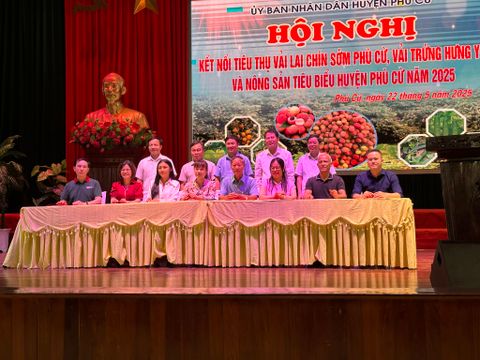 Kết nối tiêu thụ vải lai chín sớm Phù Cừ, vải trứng Hưng Yên năm 2025