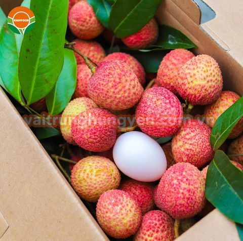 Khám phá vải trứng Hưng Yên - Đặc sản tươi ngon từ vườn