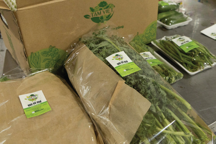 Nông sản Đà Lạt Tâm Việt - Mang hương vị tươi ngon của thiên nhiên đến từng nhà