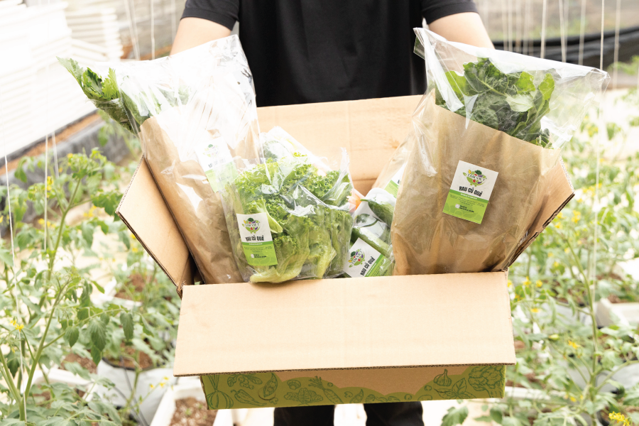 Rau Sạch Đà Lạt - Tâm Việt: Bí quyết cho bữa ăn ngon và an toàn