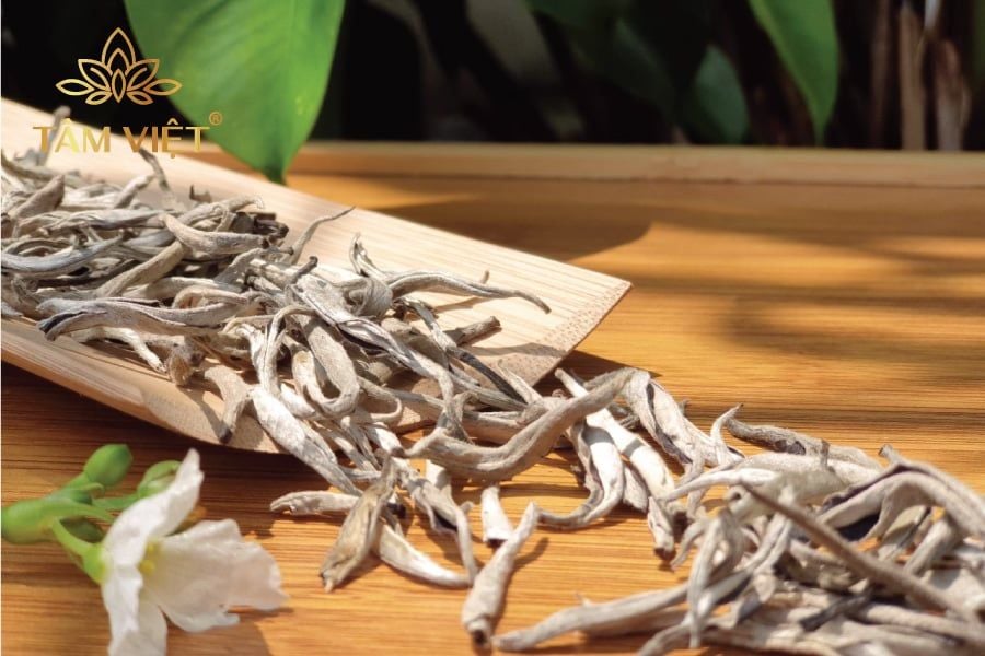 Mẹo Đúng Chuẩn Phân Biệt Trà Shan Tuyết Chất Lượng & Kém Chất Lượng