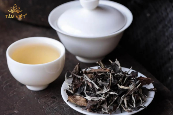 Top các loại trà thảo dược cho phái đẹp