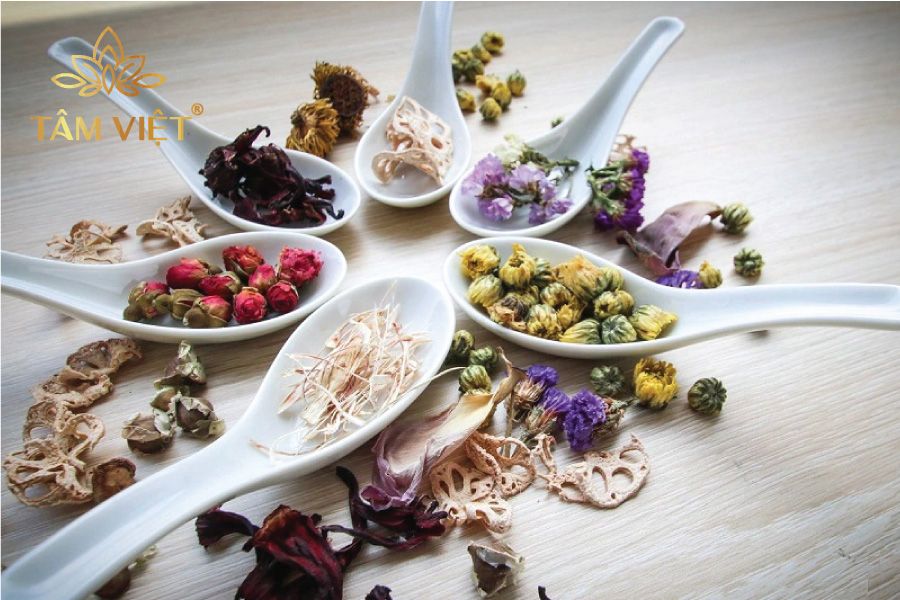 Điểm Danh Các Loại Trà Thảo Mộc Được Yêu Thích Nhất
