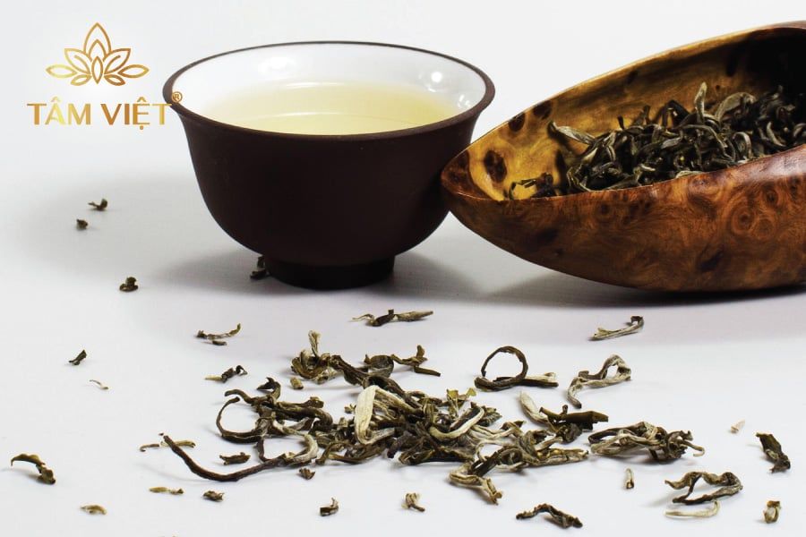 Điểm qua các vùng trà Shan Tuyết nổi tiếng Việt Nam