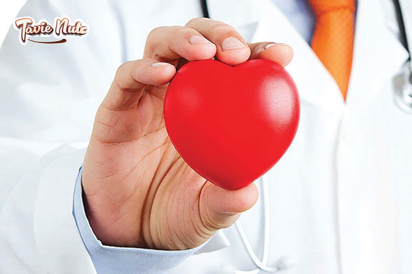 Công dụng hạt điều đối với sức khỏe tim mạch