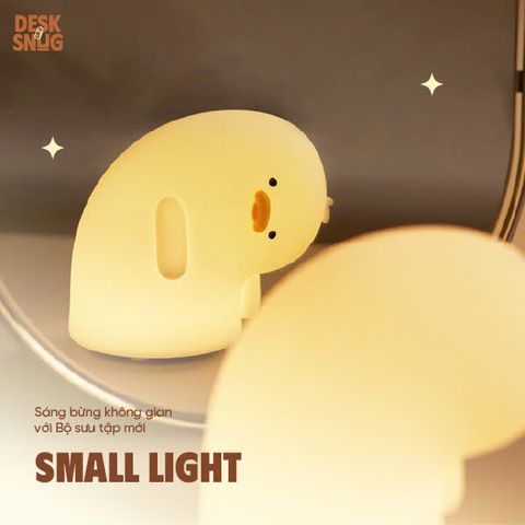 Small Light 