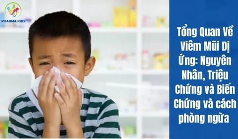 Tổng Quan Về Viêm Mũi Dị Ứng: Nguyên Nhân, Triệu Chứng, Biến Chứng và Cách Phòng Ngừa