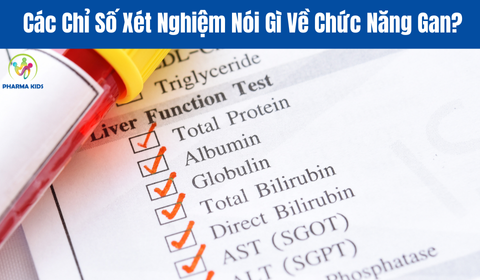 Giải Mã Bí Ẩn: Các Chỉ Số Xét Nghiệm Nói Gì Về Chức Năng Gan?