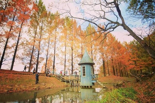 TOP 3 ĐỊA ĐIỂM KHÔNG THỂ BỎ LỠ VÀO MÙA THU TẠI SAITAMA