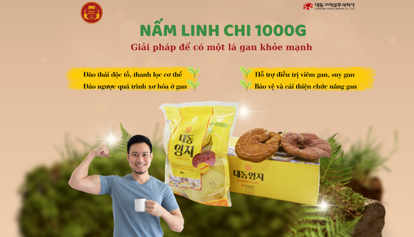 Nấm linh chi: Chìa khóa vàng mở cánh cửa sức khỏe