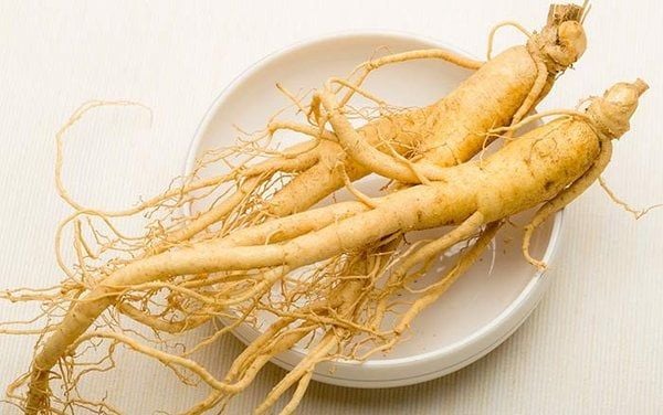 Nên mua sâm tươi hay sâm khô: Lựa chọn nào tối ưu cho sức khỏe của bạn?