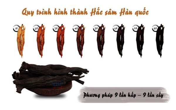 Hắc sâm Hàn quốc - Những điều bạn không thể bỏ qua