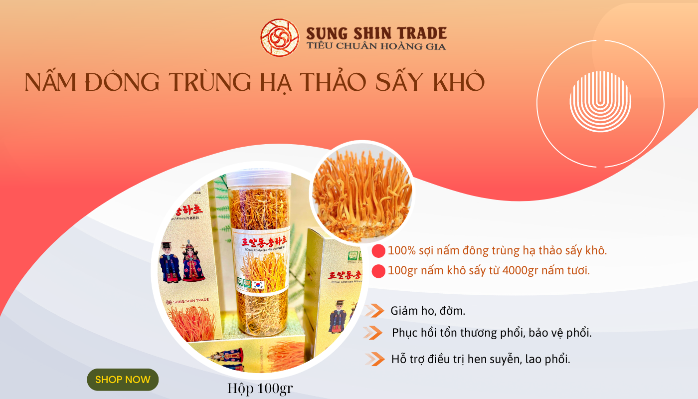 Đông trùng hạ thảo dạng sợi Hàn Quốc: Tinh hoa dược liệu bồi bổ thân thể