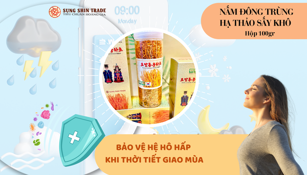 Nấm Đông Trùng Hạ Thảo Sấy Khô Hàn Quốc - Tinh Hoa Từ Thiên Nhiên