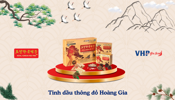 Tinh dầu thông đỏ Hàn Quốc: Bảo vệ trái tim, lưu thông máu tốt