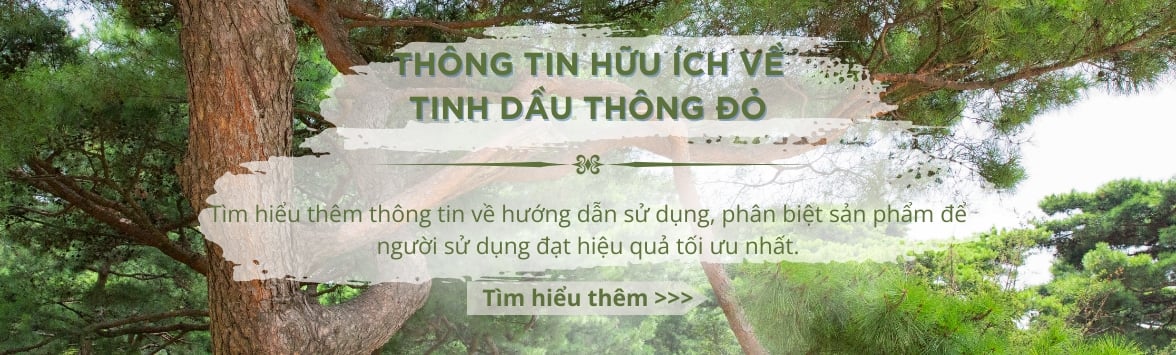 Tinh dầu thông đỏ