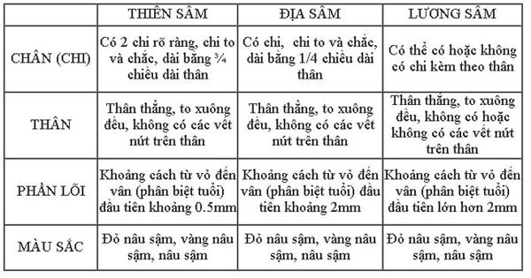 phân loại hồng sâm Hàn Quốc